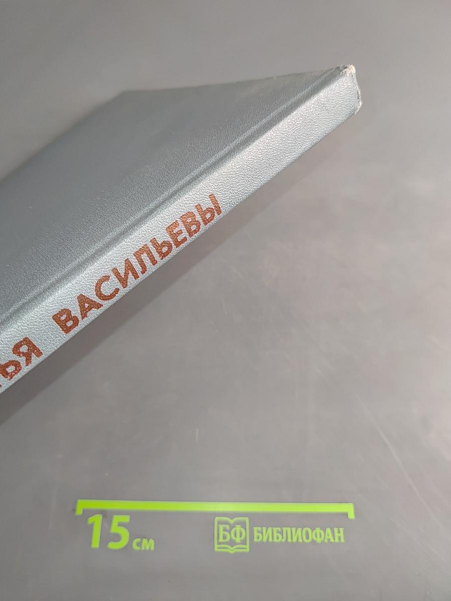 Братья Васильевы. Жизнь и творчество