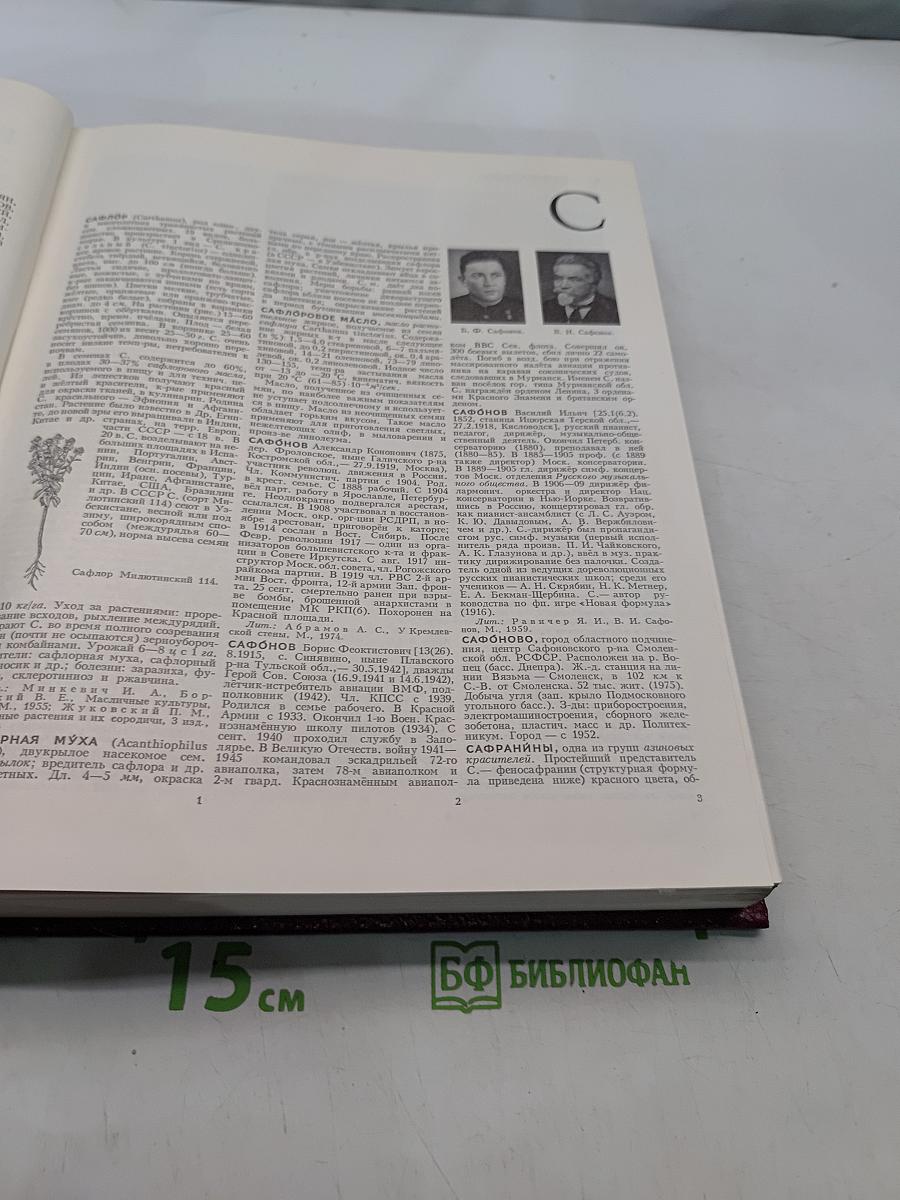 Большая Советская Энциклопедия. Том 23. Сафлор — Соан