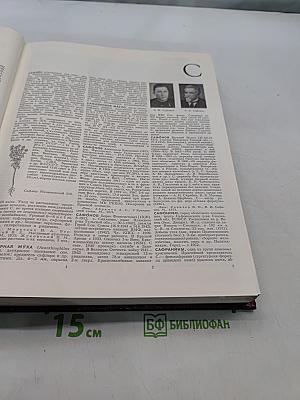 Большая Советская Энциклопедия. Том 23. Сафлор — Соан