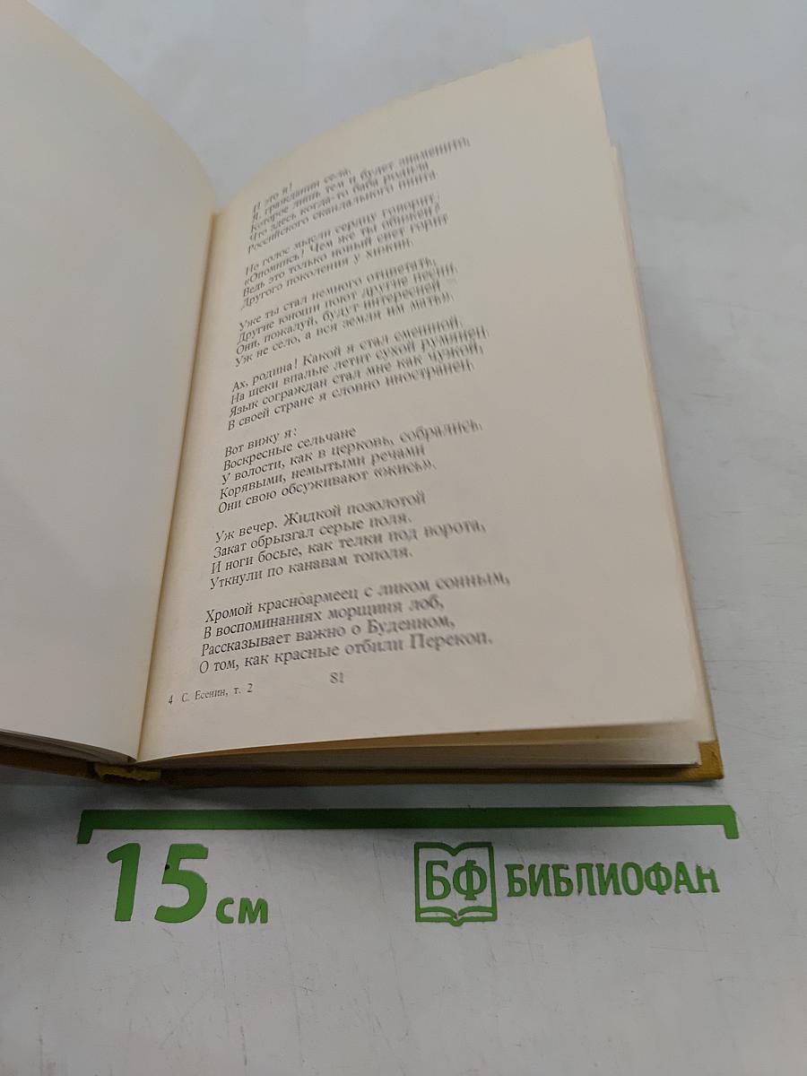 Собрание сочинений. Том II. Стихотворения (1912-1925)