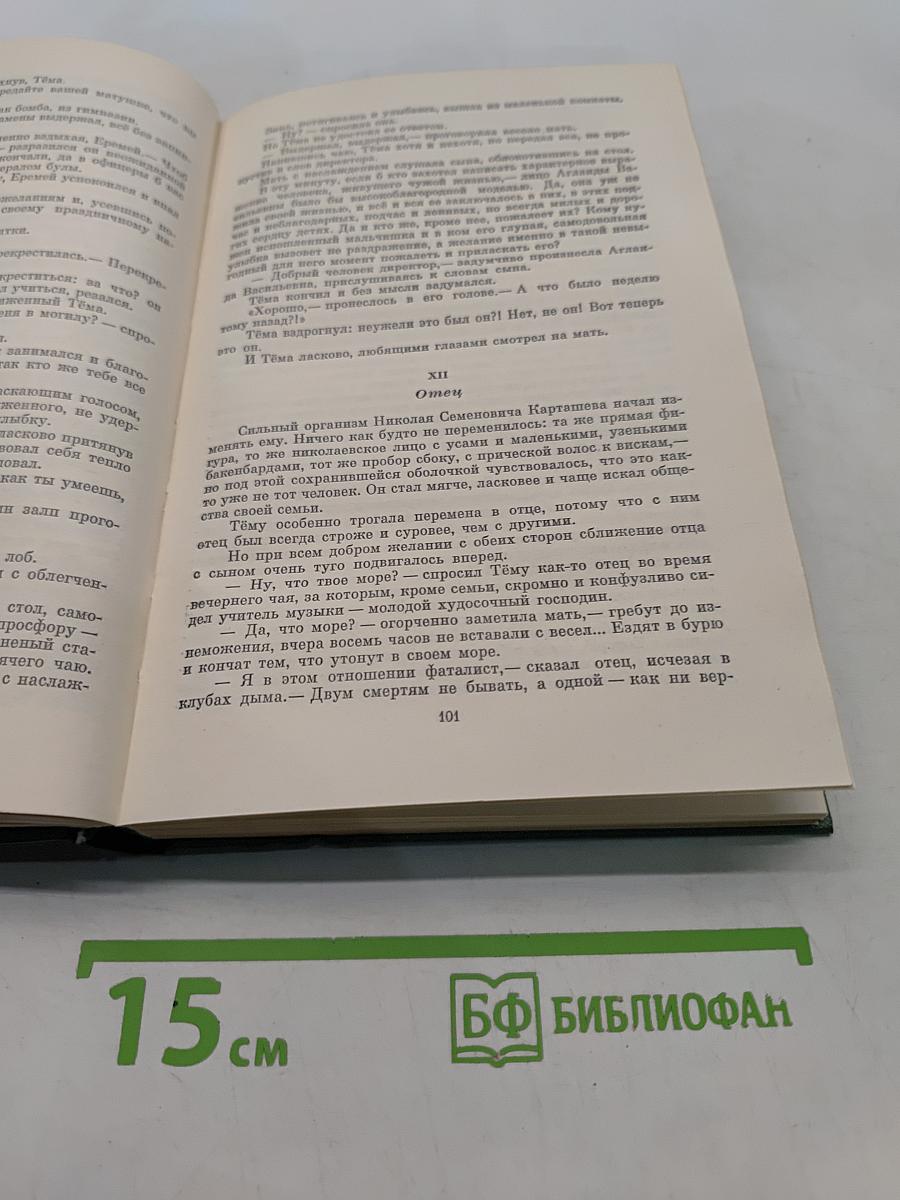 Детство Темы. Гимназисты