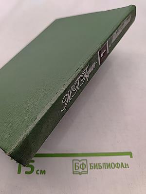 Детство Темы. Гимназисты