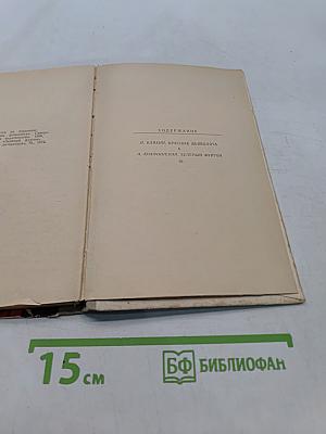 Красные дьяволята. Зелёный фургон