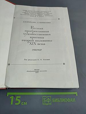 Русская прогрессивная художественная критика второй половины XIX века. Очерки