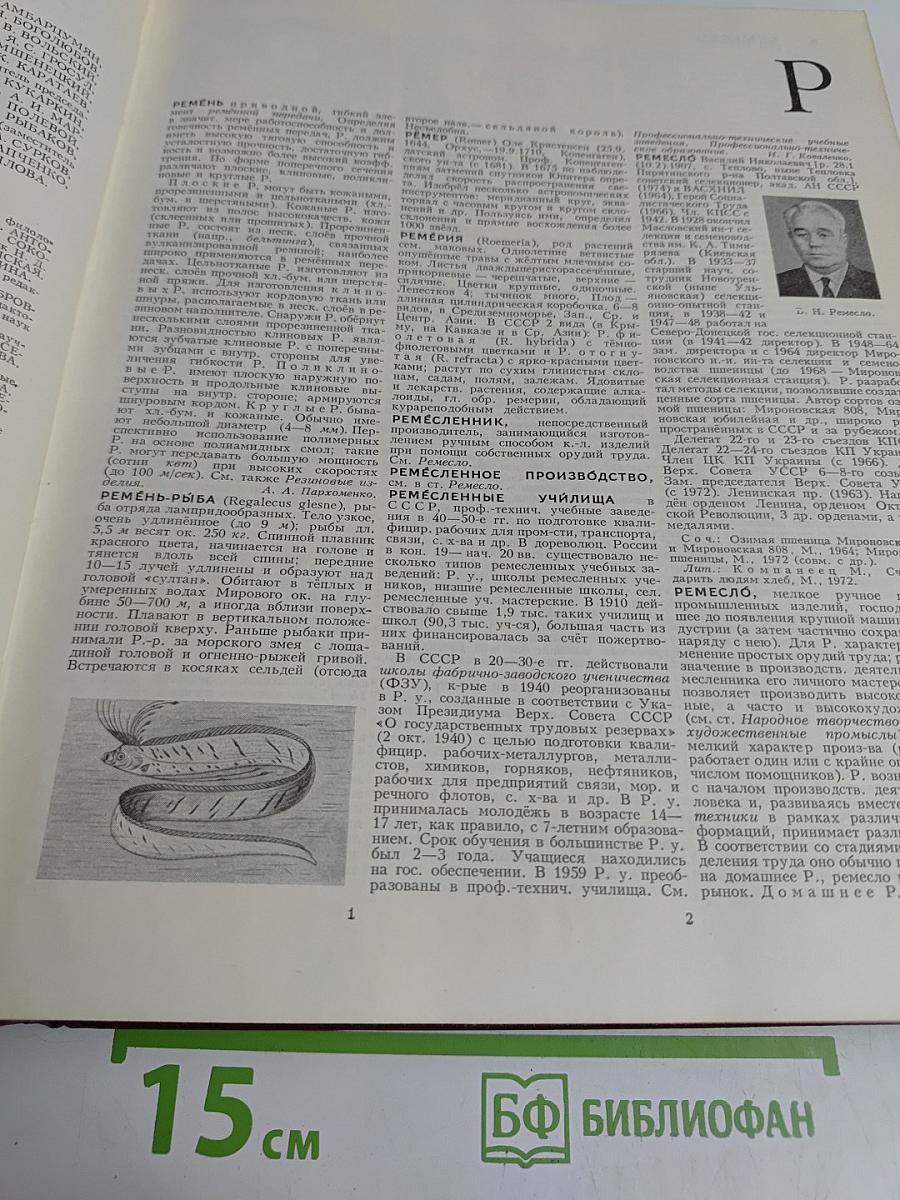 Большая Советская Энциклопедия. Том 22