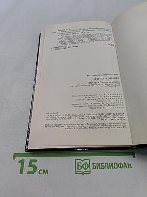 Всегда в поиске