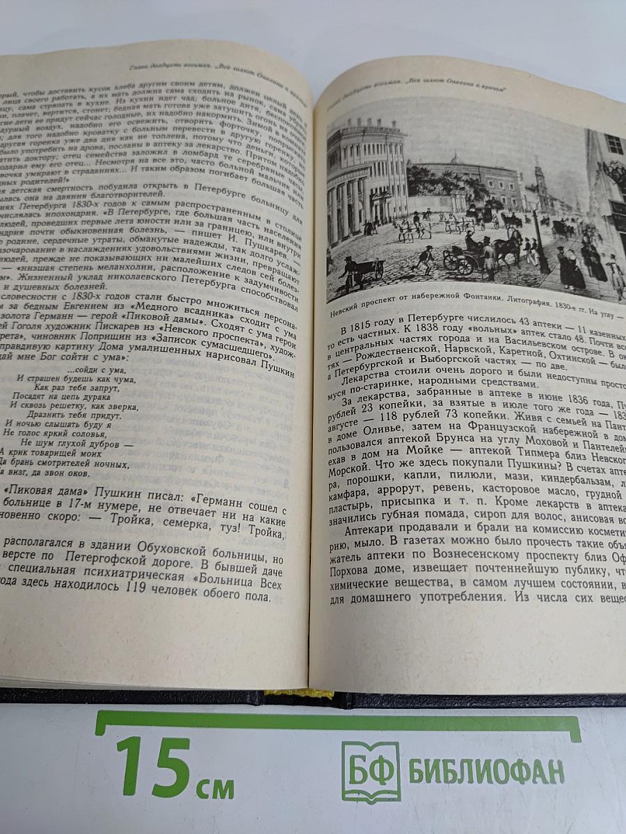 Пушкинский век. Панорама столичной жизни