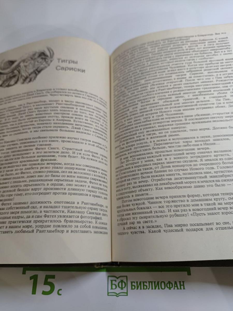 Мир Книги джунглей