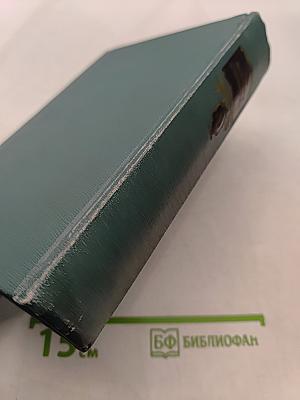 Повести, рассказы, очерки. Том четвертый. 1885-1889