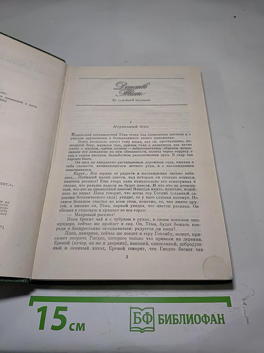 Детство Тёмы. Гимназисты
