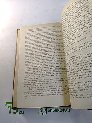 Шпион, или Повесть о нейтральной территории