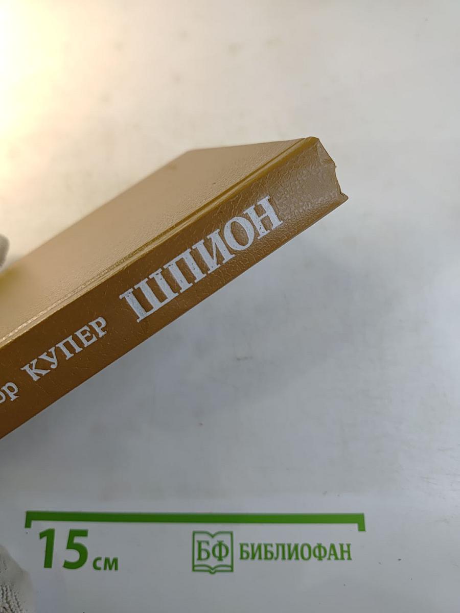 Шпион, или Повесть о нейтральной территории