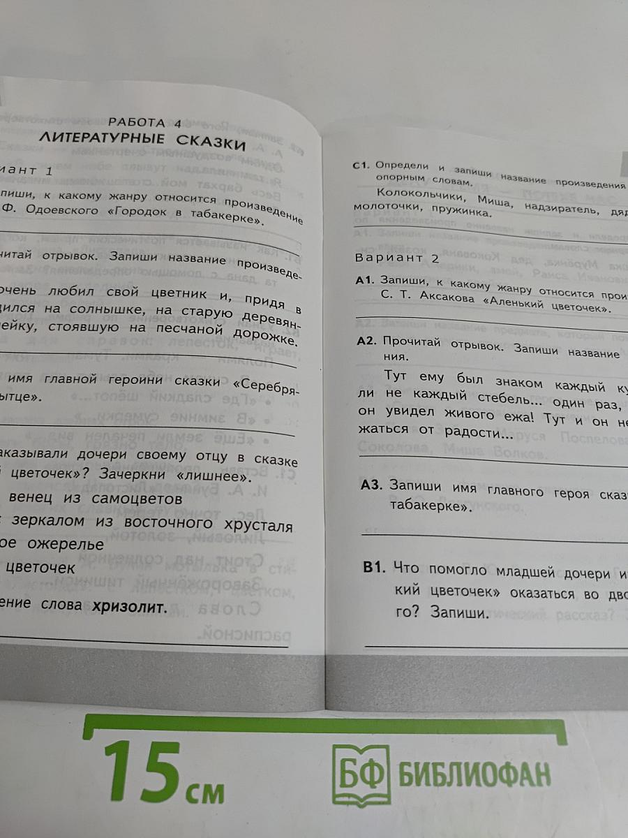 Литературное чтение. Контрольные измерительные материалы. Всероссийская проверочная работа. 4 класс