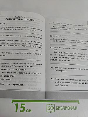 Литературное чтение. Контрольные измерительные материалы. Всероссийская проверочная работа. 4 класс