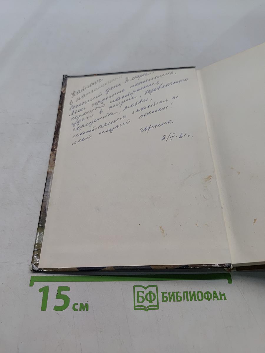 Эрмитаж. Путеводитель по выставкам и залам