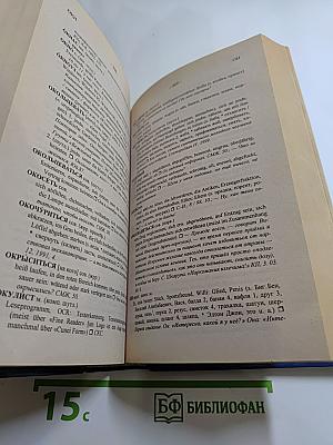 Большой русско-немецкий словарь жаргона и просторечий