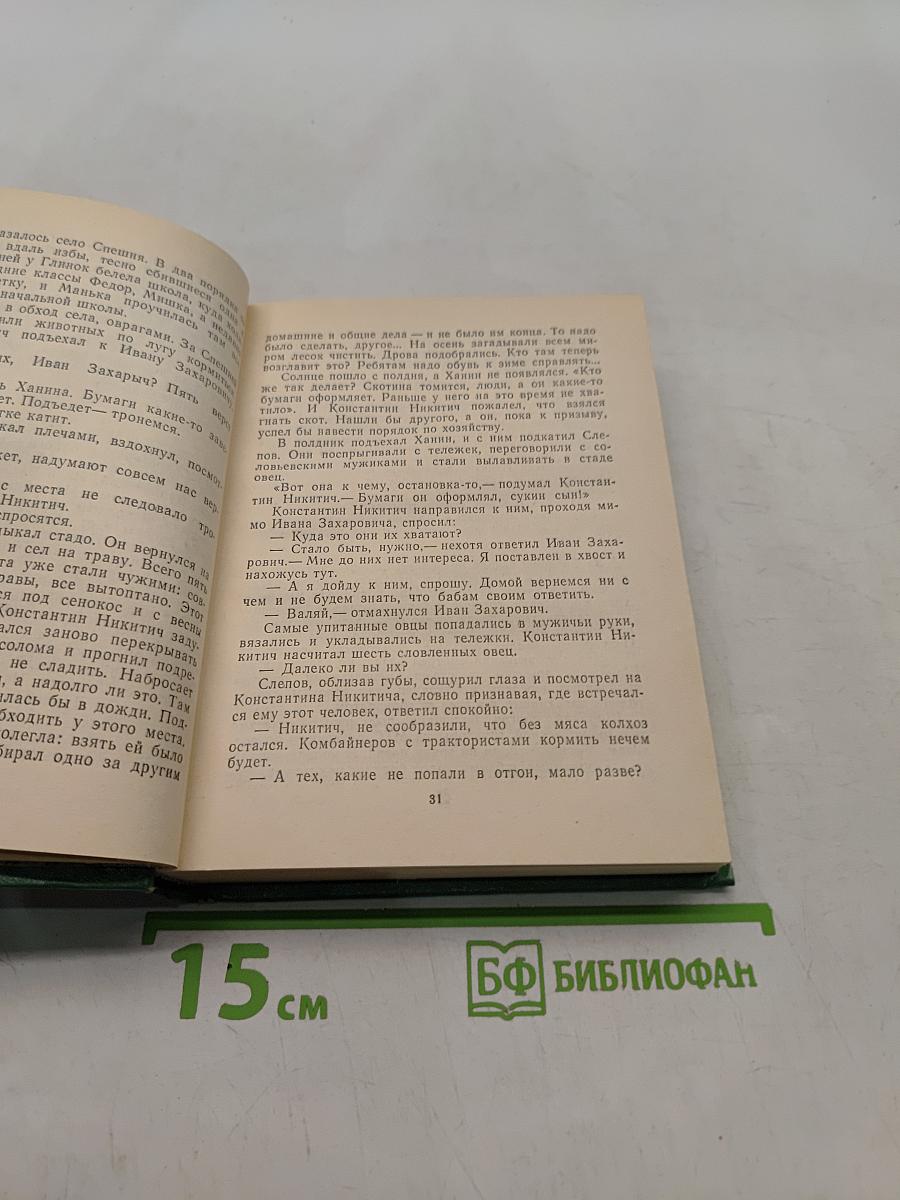 И осталась жить... По ветру неся долгие метели. Австрийская коса. Осенняя распутица