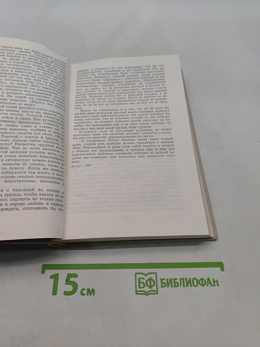 Публицистика. Воспоминания современников