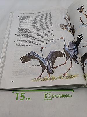 Биология. Живой организм. 6 класс