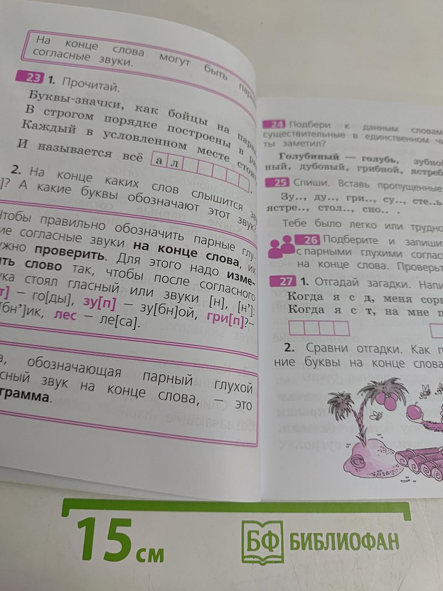 Русский язык. 2 класс. Учебник для общеобразовательных организаций. В двух частях. Часть 2