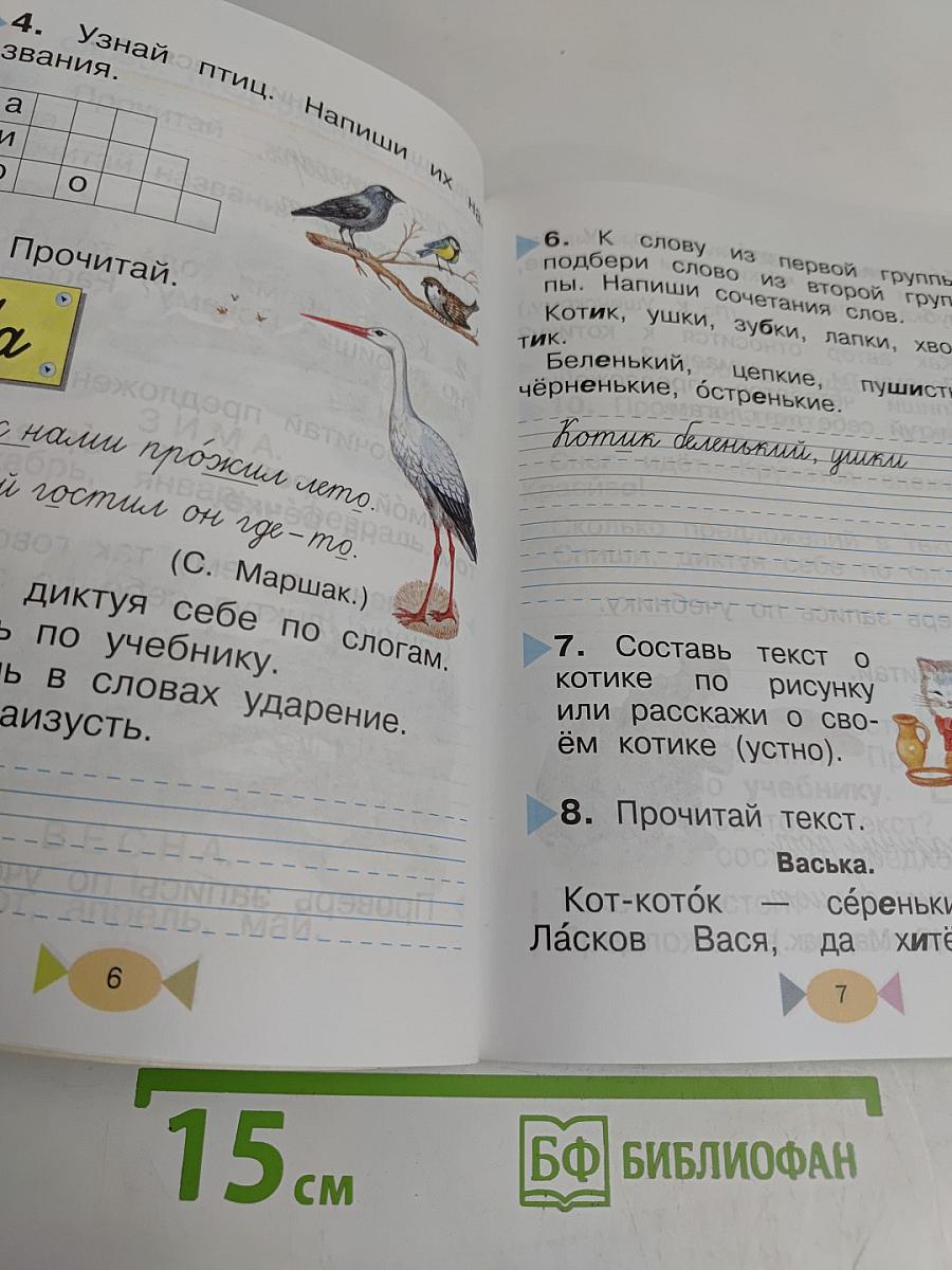 Русский язык. Учебник для 1 класса начальной школы. 7-е издание, стереотипное