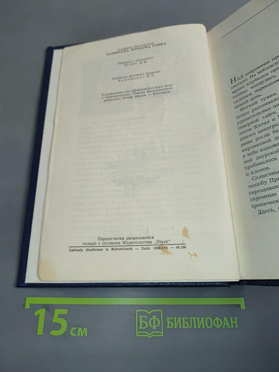 Таинственное путешествие Томека