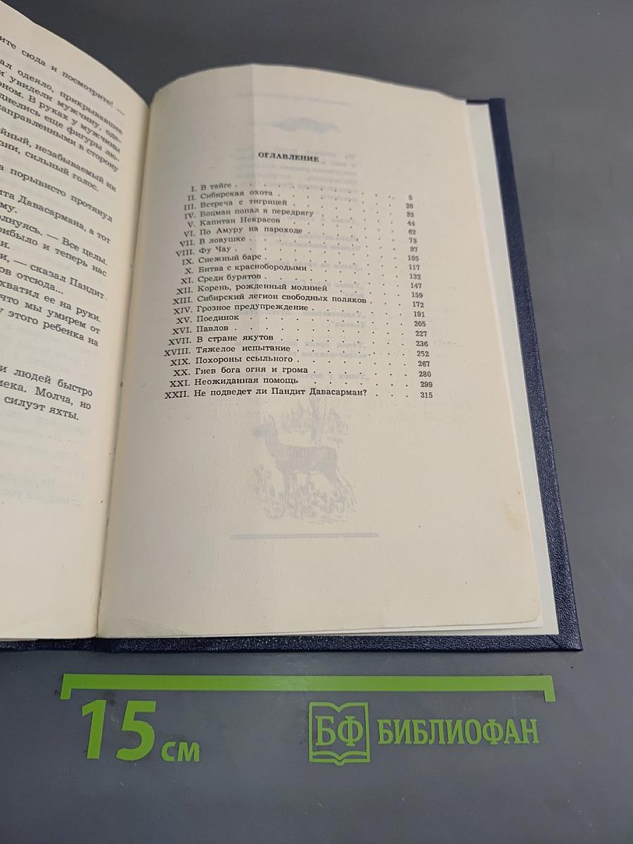 Таинственное путешествие Томека