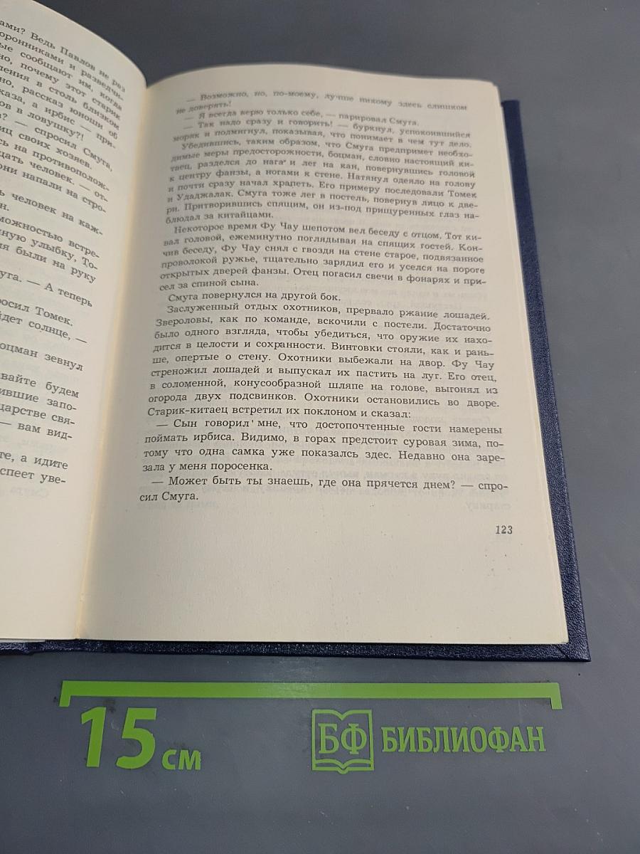 Таинственное путешествие Томека