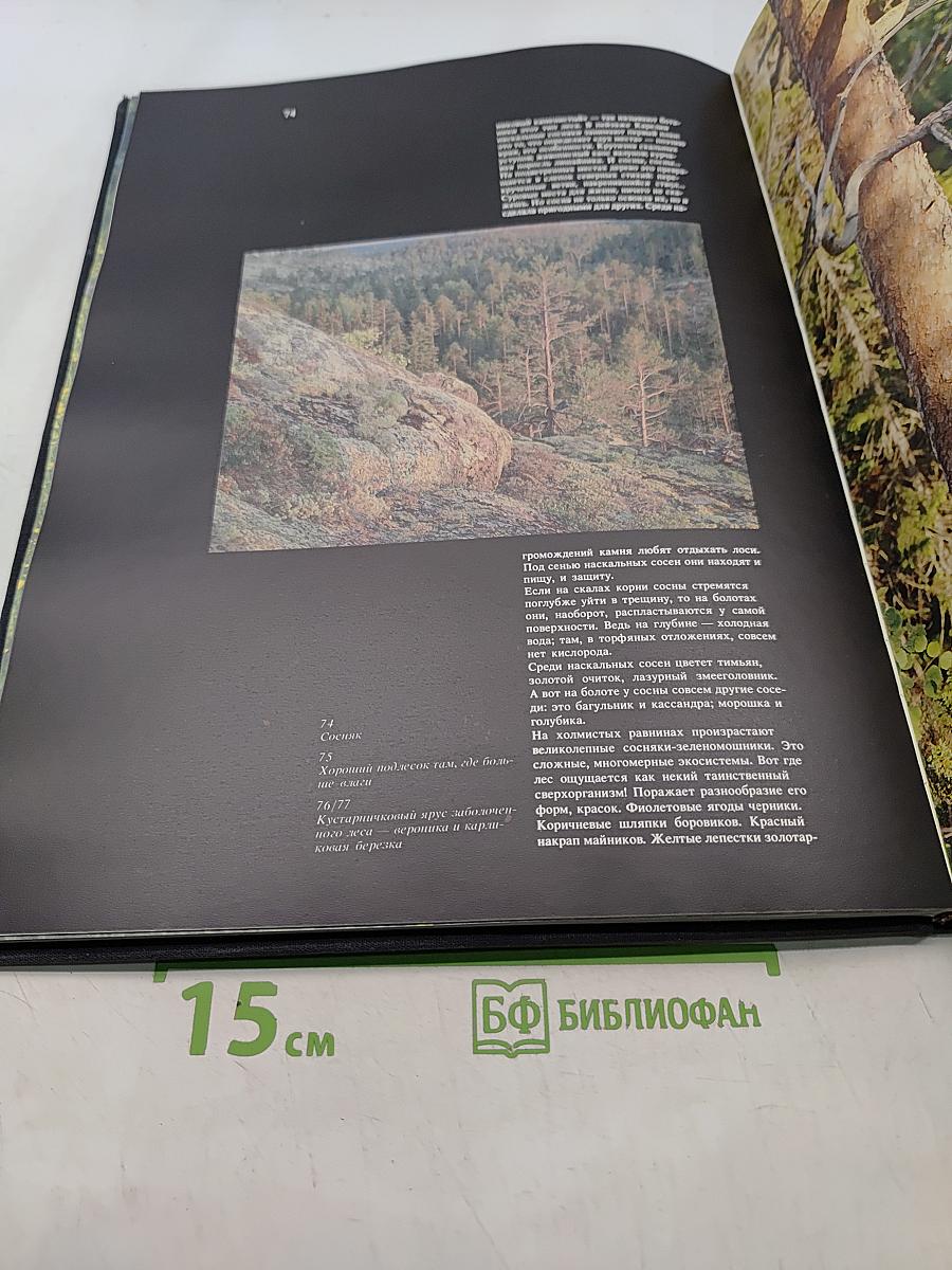 По Карелии