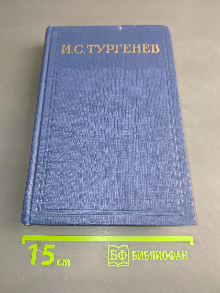 Полное собрание сочинений и писем. Том тринадцатый. Книга вторая. Письма 1882-1883