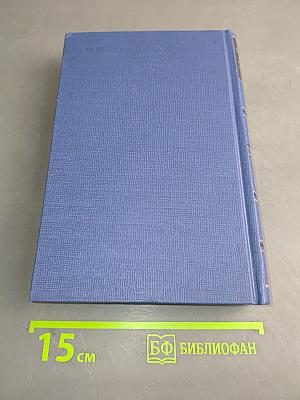 Полное собрание сочинений и писем. Том тринадцатый. Книга вторая. Письма 1882-1883