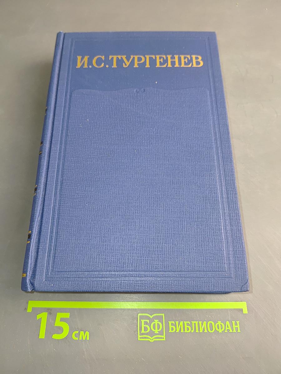Письма. Том тринадцатый. Книга первая. 1880-1882
