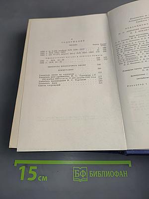 Письма. Том тринадцатый. Книга первая. 1880-1882