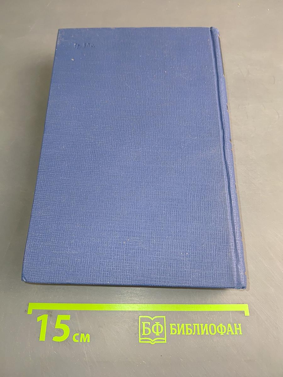 Письма. Том тринадцатый. Книга первая. 1880-1882