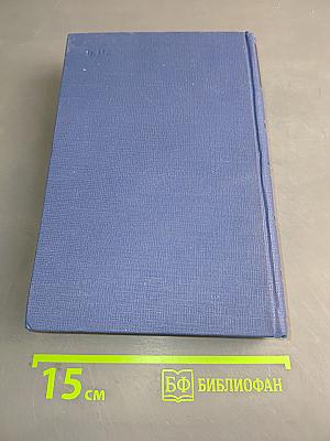 Письма. Том тринадцатый. Книга первая. 1880-1882