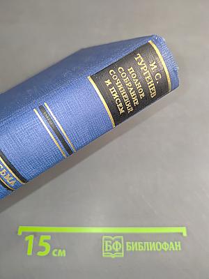 Письма. Том тринадцатый. Книга первая. 1880-1882