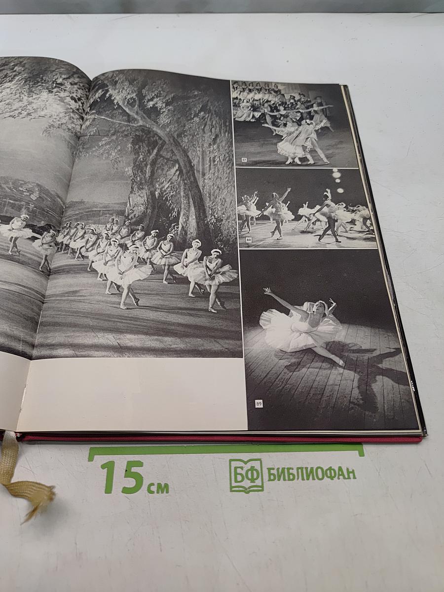 The Bolshoi Ballet