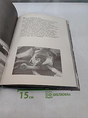 Рейс. Фотоальбом