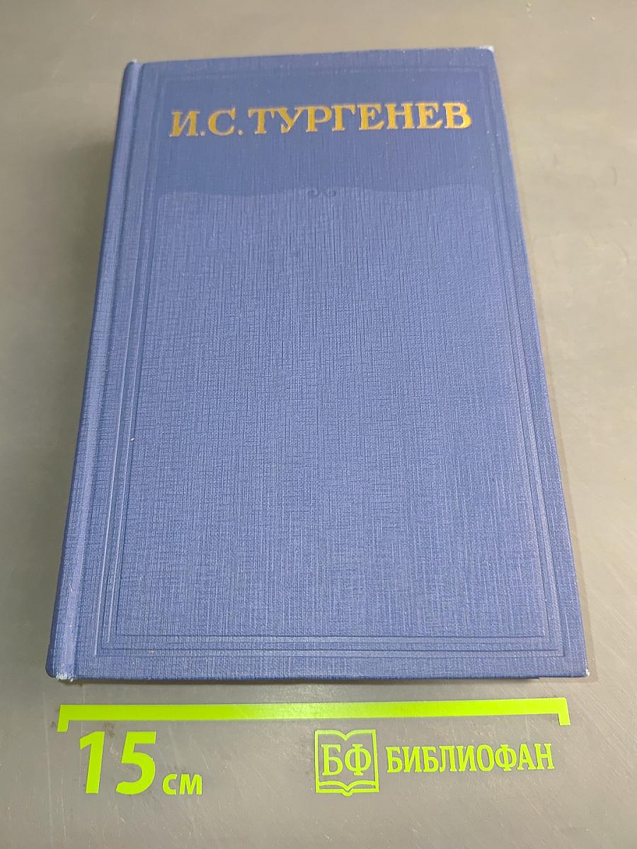 Полное собрание сочинений и писем. Том тринадцатый. Повести и рассказы. Стихотворения в прозе. Произведения разных годов 1878-1883