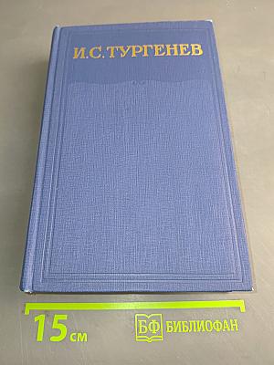 Полное собрание сочинений и писем. Том тринадцатый. Повести и рассказы. Стихотворения в прозе. Произведения разных годов 1878-1883