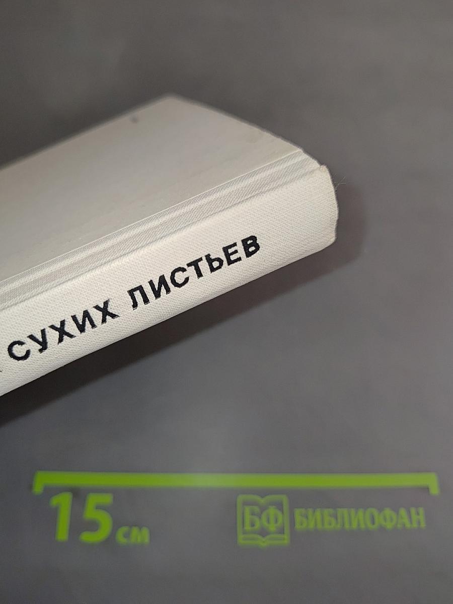 Шорох сухих листьев