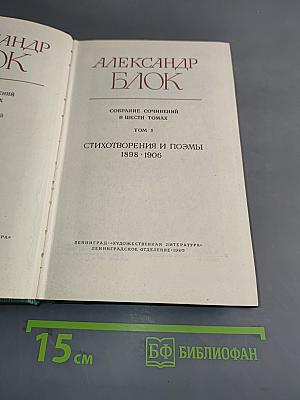 Стихотворения и поэмы. 1898-1906. Том 1