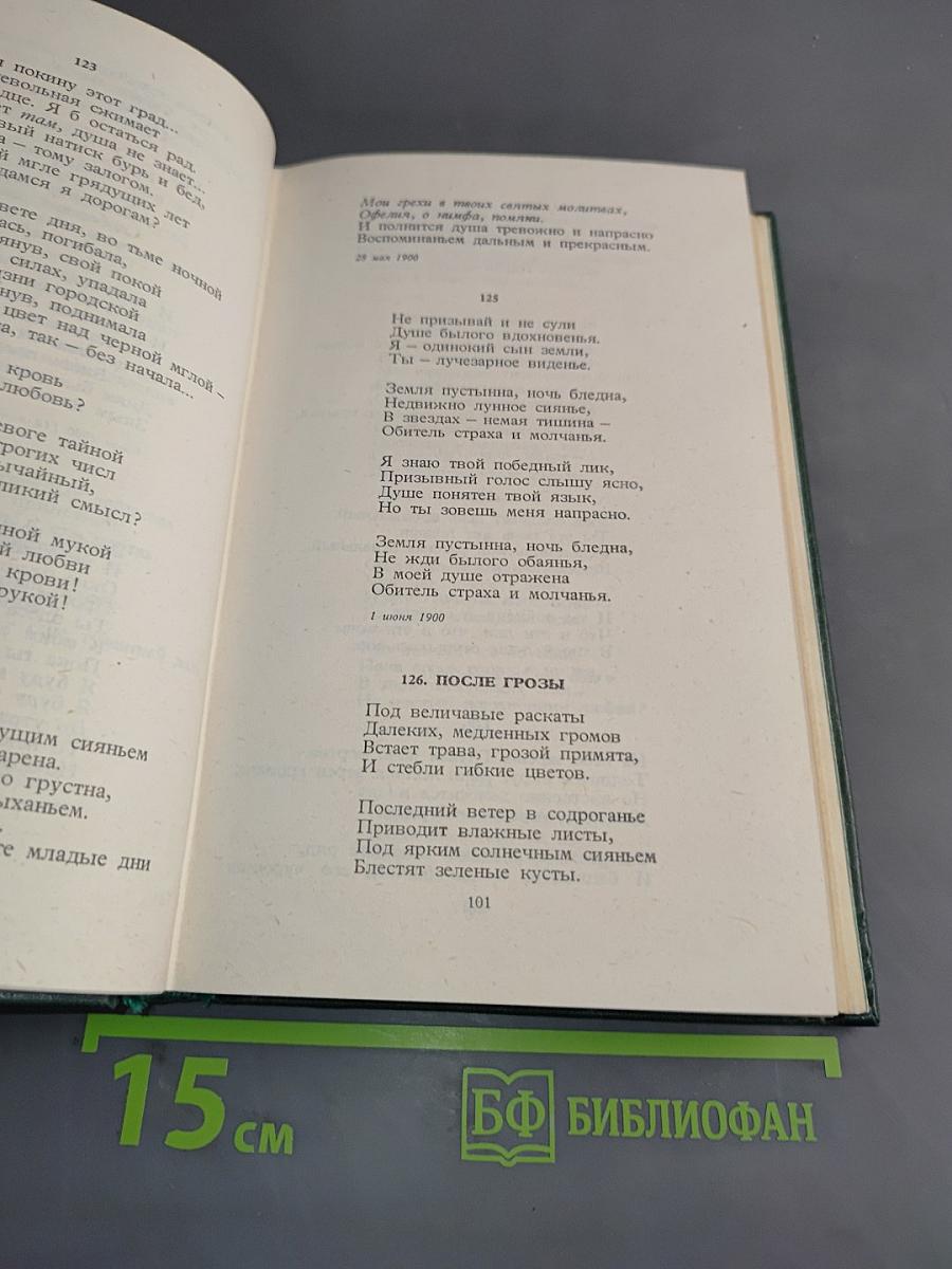 Стихотворения и поэмы. 1898-1906. Том 1