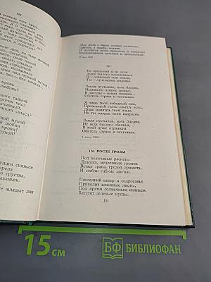 Стихотворения и поэмы. 1898-1906. Том 1