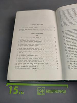 Стихотворения и поэмы. 1898-1906. Том 1