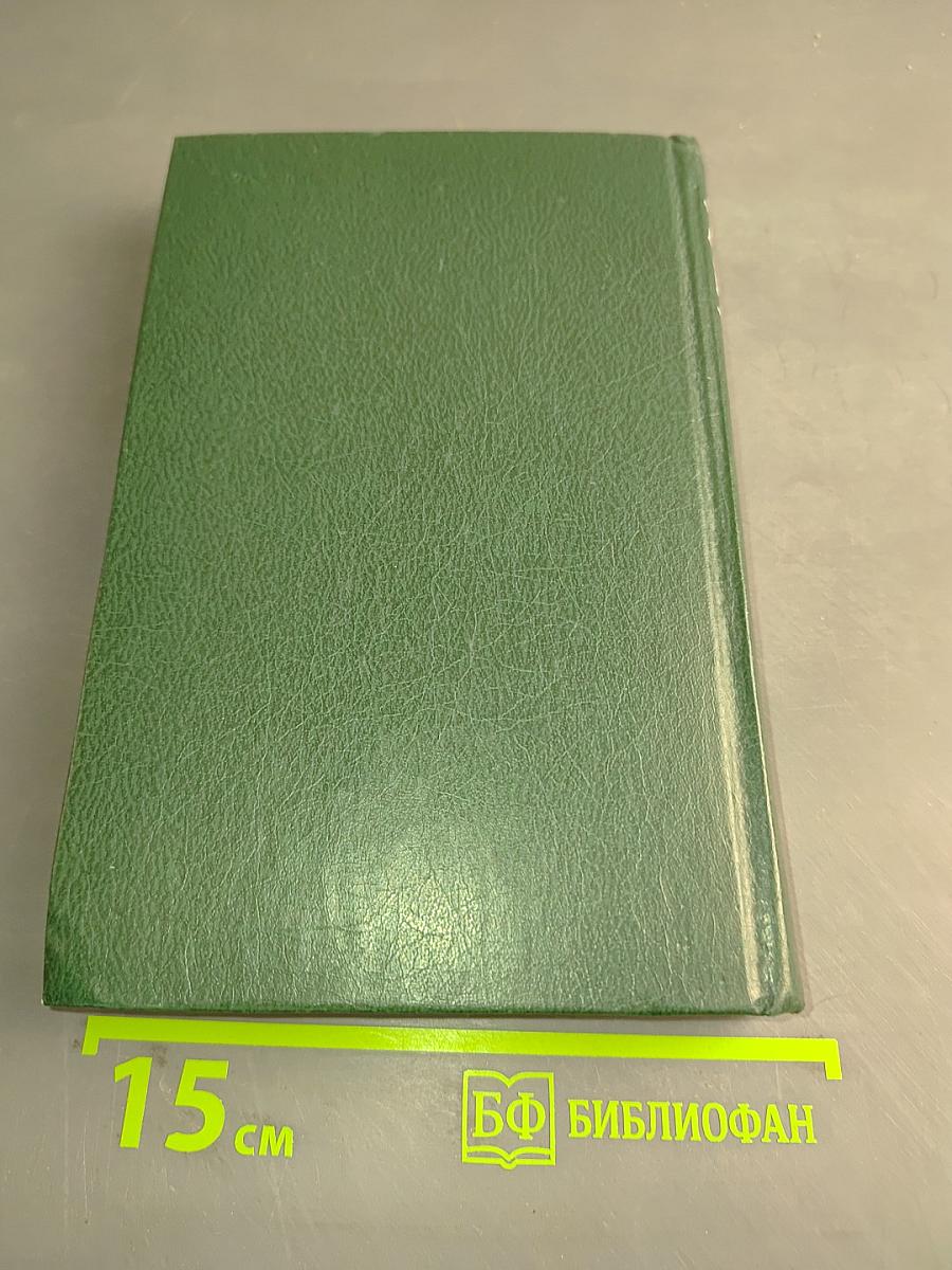 Стихотворения и поэмы. 1898-1906. Том 1