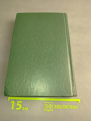 Стихотворения и поэмы. 1898-1906. Том 1