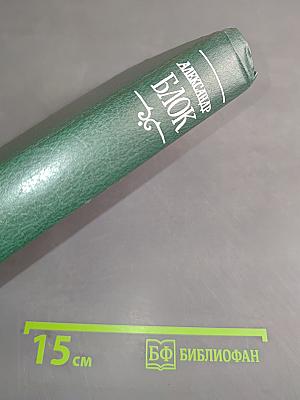 Стихотворения и поэмы. 1898-1906. Том 1