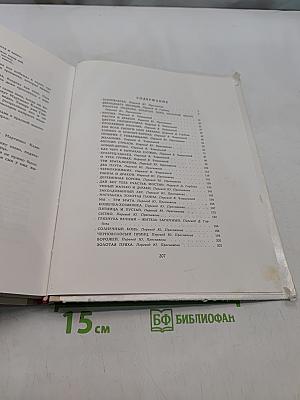 Солнечный конь