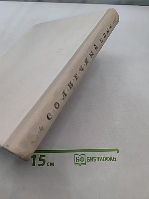 Солнечный конь